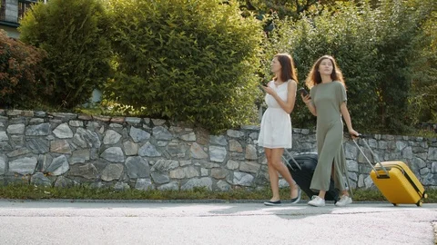 Tourists with suitcases using the maps app Video stock 120054488