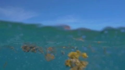 Tourists With Surfboard In Ocean Stock Footage 83044725