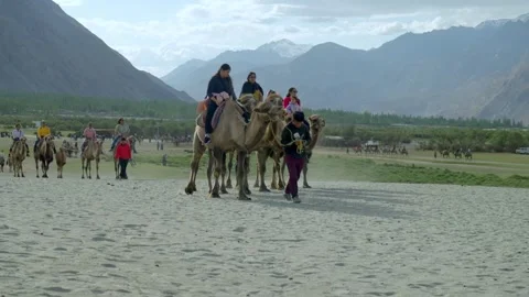 Tourists take camel rises on desert sand dunes in group Stock Footage 282113813