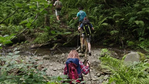 Tourists team cross forest stream on log. Improvised bridge across small river Stock Footage 208890188