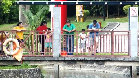 The tourists threw bread at the fish in the pond Vídeos de archivo 117377830