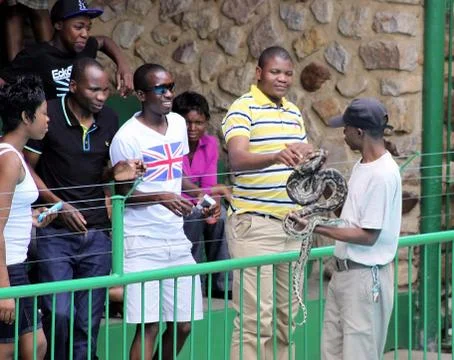 Tourists touching python 스톡 사진