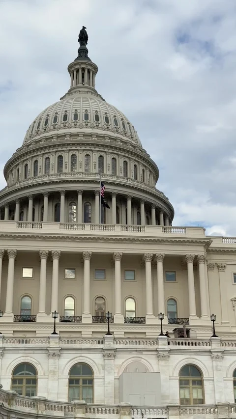 Tourists U.S. Capitol in Washington D.C. on Capitol Hill, National Mall Stock-Footage 280348318