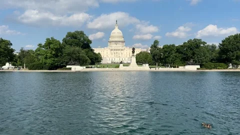 Tourists U.S. Capitol in Washington D.C. on Capitol Hill, National Mall Vídeo Stock 280348446