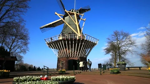 Tourists visiting an old Dutch windmill in Keukenhof Park Stock Footage 88902622