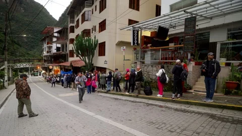 Tourists Waiting in Line for Shuttle Bus to Sightseeing Destination Stock Footage 334606972