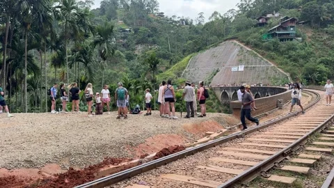 Tourists waiting for a train passing by at the Nine Arch Bridge in Sri Lanka Stock Footage 319349407