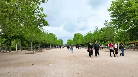 Tourists Walking Along a Wide Path in Tuileries Garden Paris Stock Footage 336519457