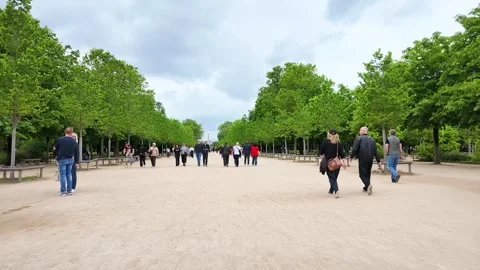 Tourists Walking Along Wide Path in Tuileries Garden Paris Stock Footage 336935022