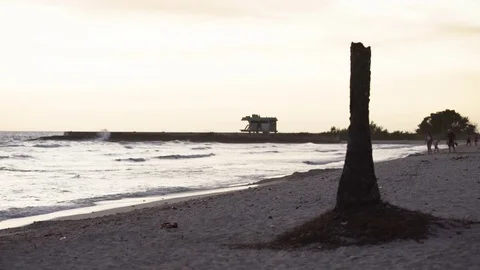Tourists walking on beach at dusk Stock Footage 77454232