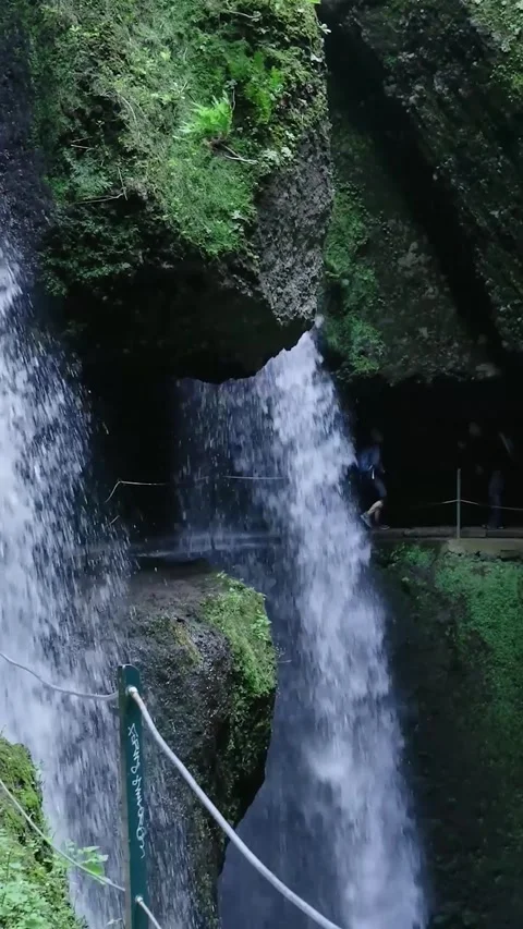 Tourists walking behind a powerful waterfall in a lush forest 库存影片 334443837