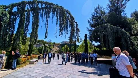 Tourists walking beneath distinct hanging green evergreen branch arches on a Vídeo Stock 335285353