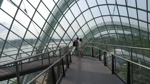 Tourists on Walking Bridge in Cloud forest Dome, Gardens by the Bay, Singapore Stock Footage 131226149