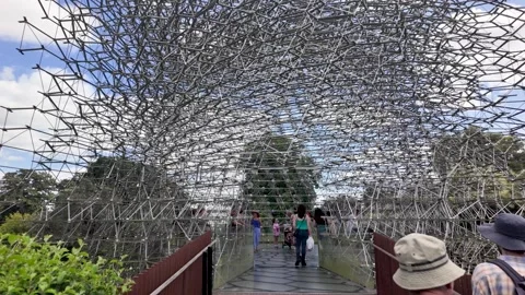 Tourists walking on a bridge inside The Hive immersive multi sensory experience Stock Footage 314775935