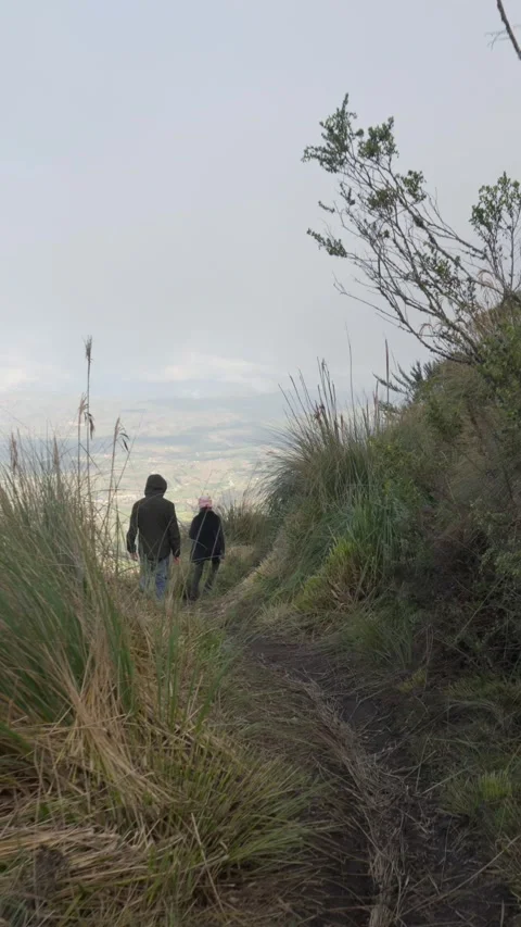 Tourists walking down a mountain path in Central Sierra, Ecuador 库存影片 311259178