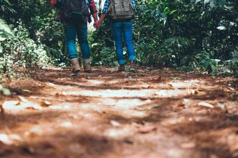 Tourists walking in the forest Фото