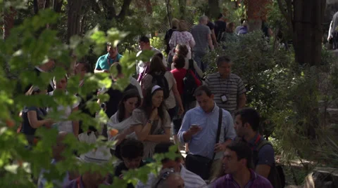 Tourists Walking in Gethsemane Stock Footage 37848100
