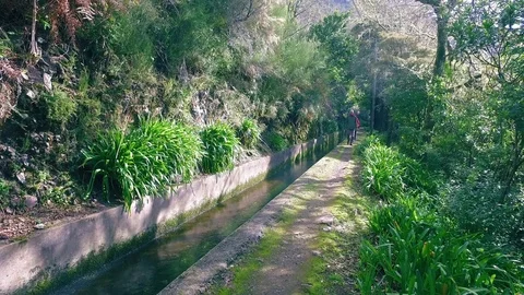 Tourists Walking on Hiking Pathway Levada Waterway Stock Footage 72185899