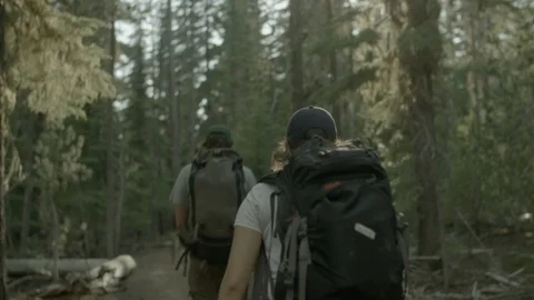 Tourists walking through the forest Stock Footage 87613858