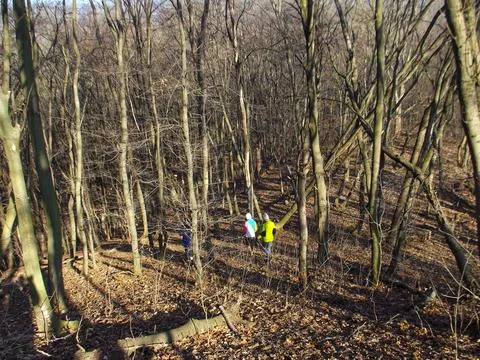 Tourists walking through the forest Stock Photos