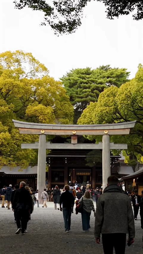 Tourists Walking Through the Iconic Torii Gate at Meiji Shrine Stock Footage 343837055