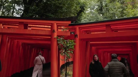Tourists Walking Through Split Red Torii Gate Path at Fushimi Inari Kyoto Japan Stock Footage 336428913