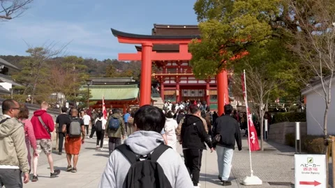 Tourists Walking Toward Large Red Torii Gate at Japanese Shrine Stock Footage 337771087