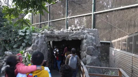 Tourists walking towards a stone cave with birds on top in the Huachipa zoo at Stock Footage 158282911