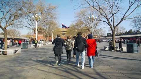 Tourists Walking on Tree-Lined Avenue at Forbidden City, Beijing, China Stock Footage 345831102