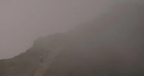 Tourists wander in the clouds, Madeira, 4K Stock Footage 246374997