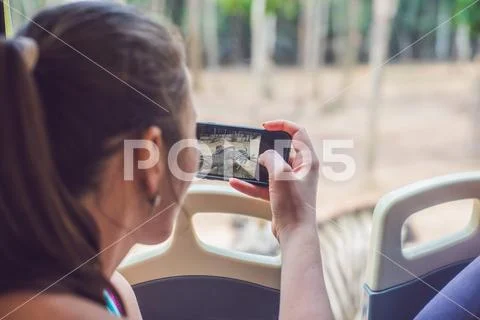 Tourists watch the animals from the bus in the safari park Stock Photos