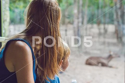 Tourists watch the animals from the bus in the safari park Stock Photos