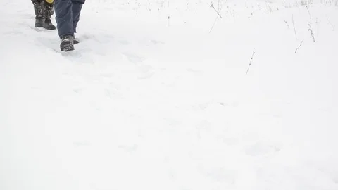 Tourists in winter go to the forest Stock Footage 87345205