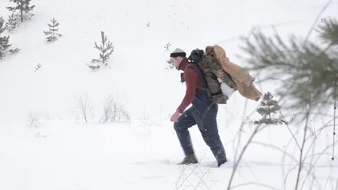 Tourists in winter go to the forest Stock Footage 87345229