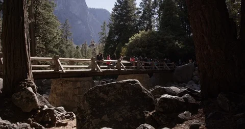 Tourits walking over a bridge to go see the Lower Yosemite Fall, Yosemite 库存影片 103449668