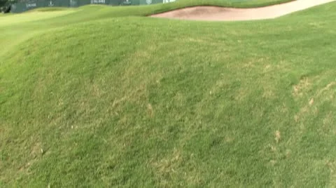 TournyGreen5 Stock Footage 8849964