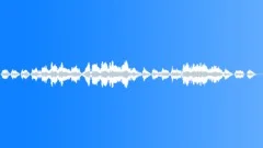 Toward The American West - Arrangement for stringsStock Music