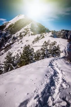 Toward the target Stock Photos