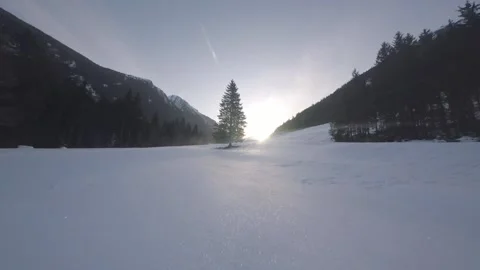 Towards the sun underneath a tree revealing Schladming's valleys; aerial scene Stock Footage