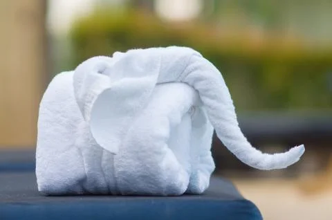 Towels in form of elephants on sunbed at luxury swimming pool Stock Photos
