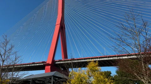 Tower and cables of Yuangpu Bridge in Shanghai Stock Footage 301532602