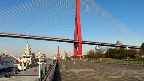 Tower and cables of Yuangpu Bridge in Shanghai Stock Footage 301539580