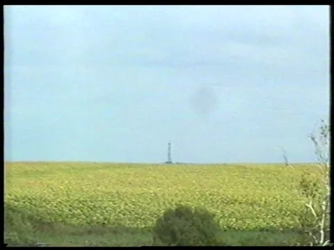 Tower And Sunflowers Stock Footage 344382180