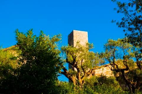 Tower and trees Stock Photos