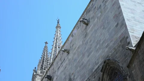 Tower and wall of an ancient gothic cathedral on a sunny day Video stock 114084146