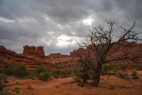 Tower arch trail Stock Photos