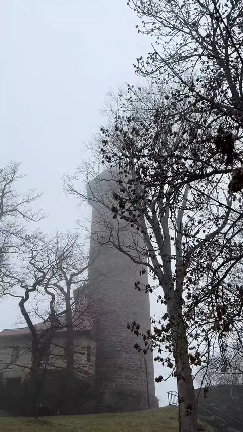Tower of Auerbach Schloss Through Winter Foliage Stock Footage 328927538