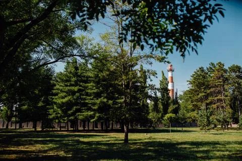 Tower on the background of the park	 Stock Photos