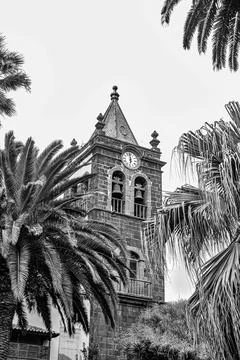 The tower between the palm trees of La Laguna Stock Photos