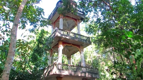 Tower between trees 库存影片 148516128